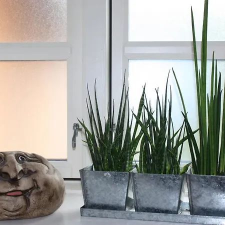 Akaciegaarden Bed & Breakfast *