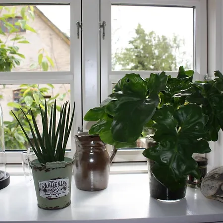 Akaciegaarden * Harlev (Stevns)