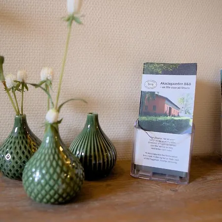 Bed & Breakfast Akaciegaarden Harlev (Stevns)