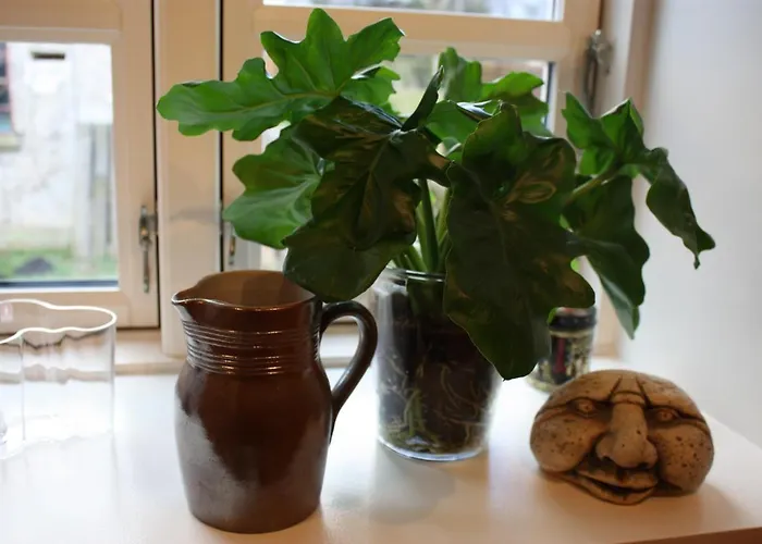 Akaciegaarden Bed & Breakfast Harlev (Stevns)