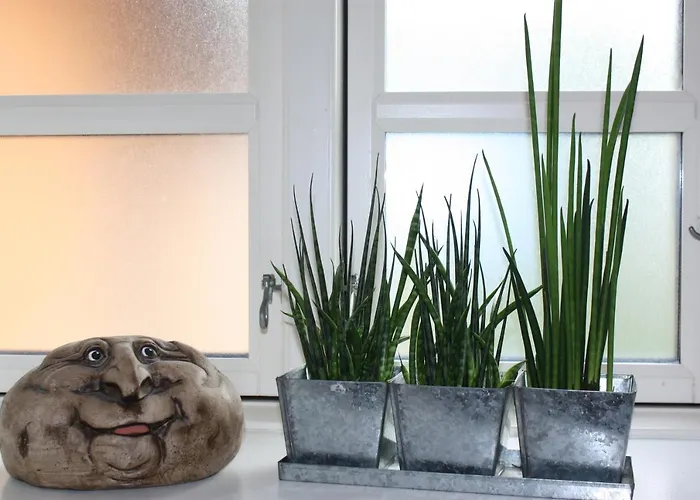 Akaciegaarden Bed & Breakfast *