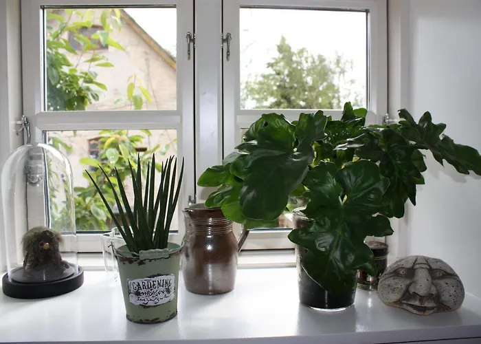 Akaciegaarden * Harlev (Stevns)