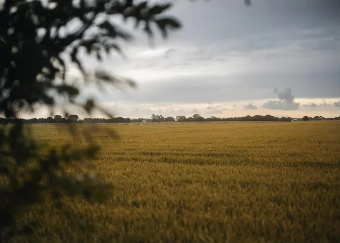 Akaciegaarden Bed & Breakfast *