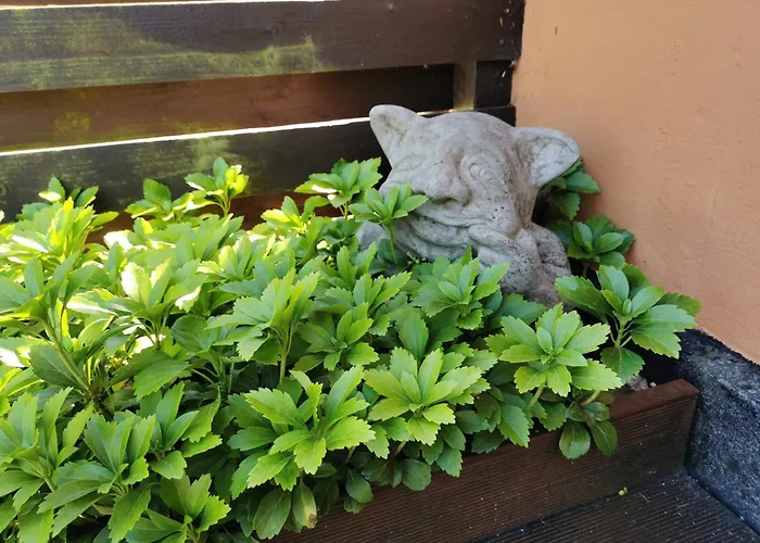 Akaciegaarden * Harlev (Stevns)