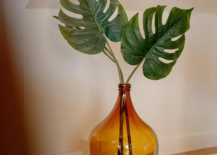 Bed & Breakfast Akaciegaarden