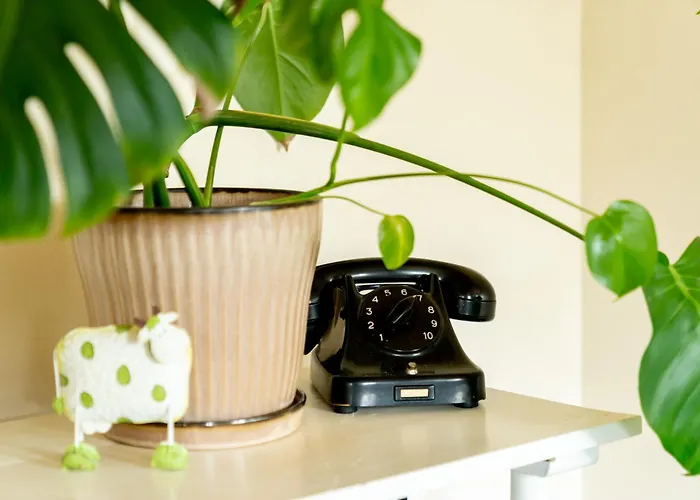 Bed & Breakfast Akaciegaarden *